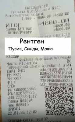 рентген пузик синди маша 01 22.jpg
