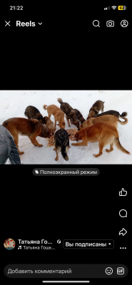 IMG_2579.png