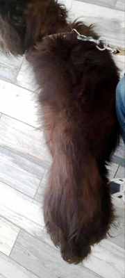 1538710379_3.thumb.jpg.2cd0f61c5dcb9ea86ff03fffe2cb3bf5.jpg
