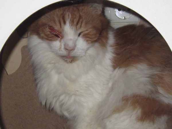 IMG_4099[1].JPG