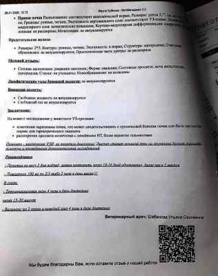 726397262_2.thumb.jpg.f6afda57855c0a96c10e30ef9b6b910a.jpg