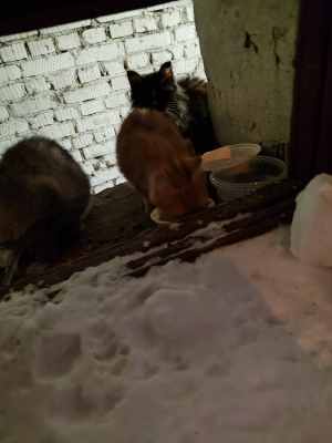 IMG_20260206_194852.jpg
