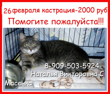 image.thumb.png.205c5c9e89ba4a523d64da50faa8c995.png