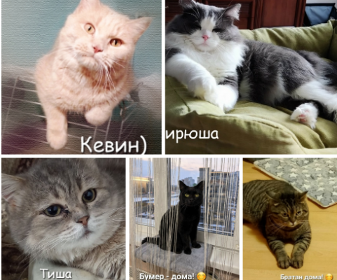 image.thumb.png.964f629151707ed4280e8c581b447d0e.png