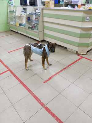 IMG_1726.jpeg