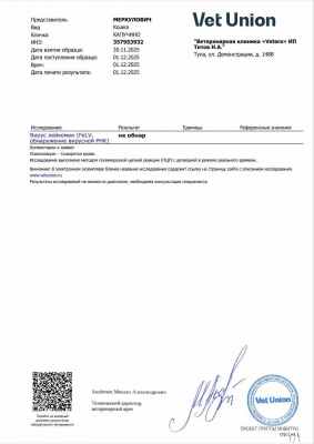 IMG_20260312_133743_581.jpg