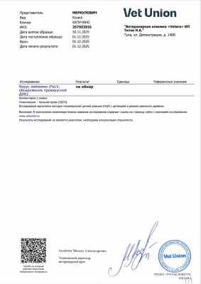 IMG_20260312_133743_629.jpg