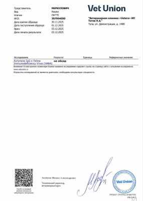 IMG_20260312_133751_608.jpg