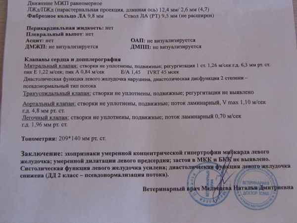 IMG_4175.JPG