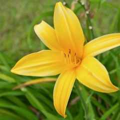 Екатерина Валющ