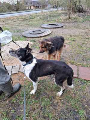 WhatsApp Image 2026-04-16 at 01.52.47.jpeg