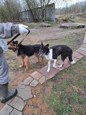 WhatsApp Image 2026-04-16 at 01.52.45.jpeg