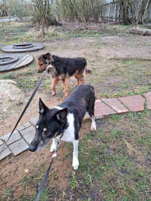 WhatsApp Image 2026-04-16 at 01.52.48 (1).jpeg