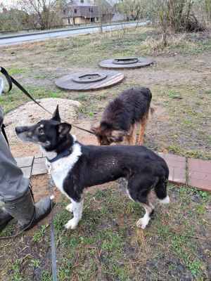 WhatsApp Image 2026-04-16 at 01.52.49.jpeg