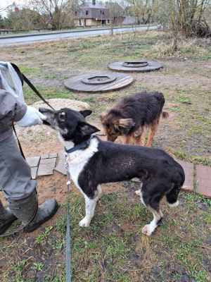 WhatsApp Image 2026-04-16 at 01.52.48.jpeg