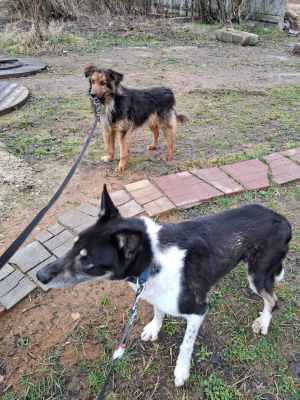 WhatsApp Image 2026-04-16 at 01.52.46.jpeg