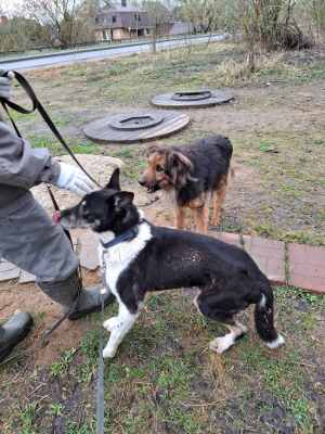 WhatsApp Image 2026-04-16 at 01.52.49 (1).jpeg