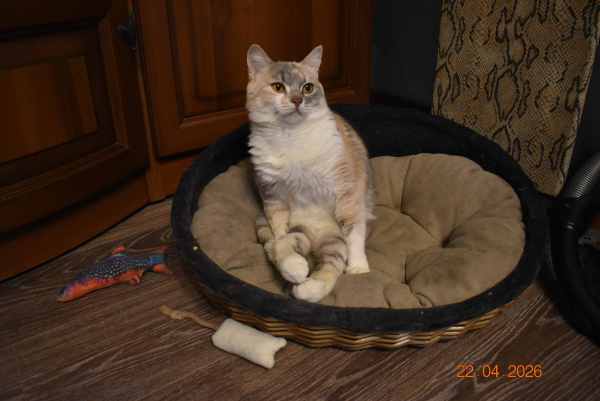 DSC_0608.thumb.JPG.5cdddf3d651f8114dda857b3f7f41b06.JPG