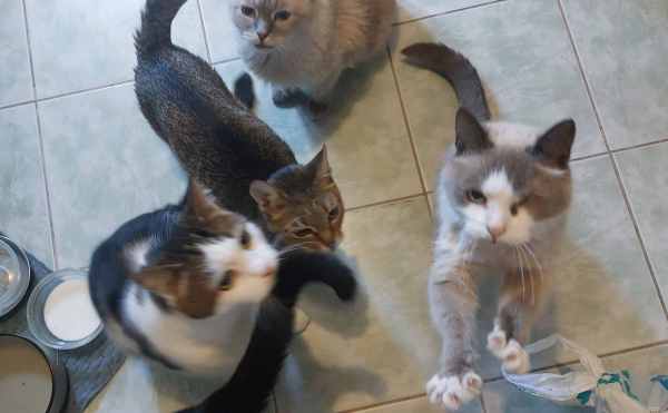 20260525_173134.jpg