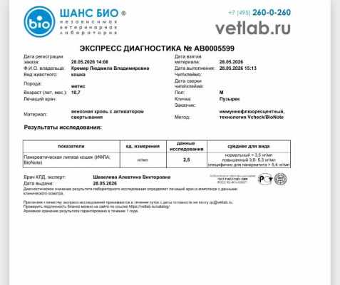 Screenshot_20260529_125945_Yandex Mail.jpg