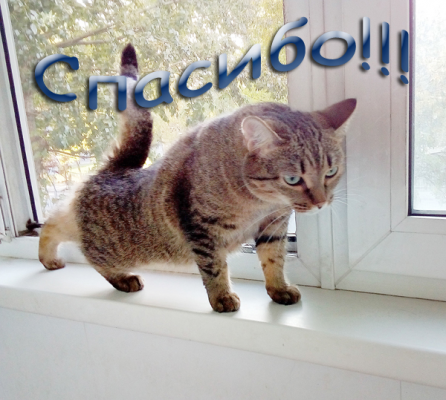 image.thumb.png.94393ad61364c31d4d5a74cfbf79f2b7.png