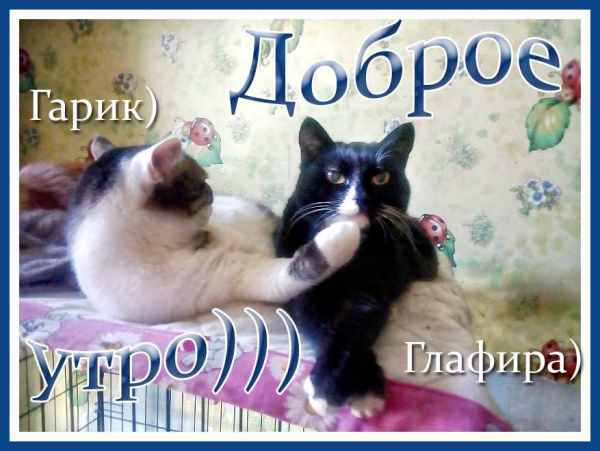 1528691995_.thumb.jpg.a7987cfd549a5b1a50310cb7f9e6112f.jpg