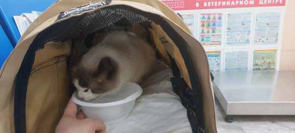 20260713_143701.jpg