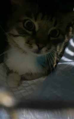 74D6A320-3BDC-4216-B35A-E0D49431CC93.thumb.jpeg.e04638ac046a8628fbe5b0cc6e459e13.jpeg