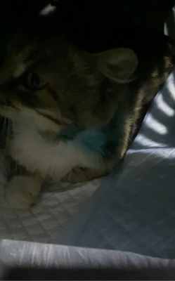 A8122153-09BE-437A-88D1-9435E0BE4331.thumb.jpeg.8edb7a96f65827cebc846299a6469282.jpeg