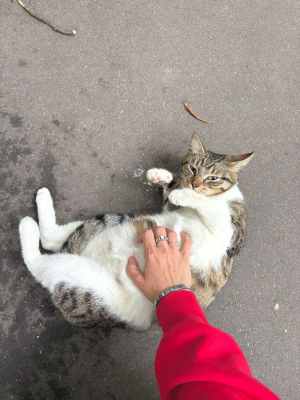 IMG_1477.jpeg