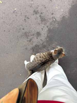 IMG_1478.jpeg