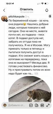 IMG_1482.png